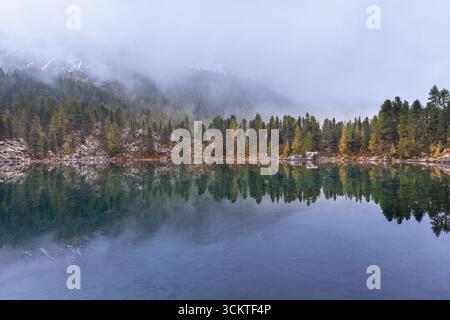 Lago di Saoseo en automne, un lac alpin avec une eau cristalline, un feuillage d'automne coloré et de la brume matinale. Banque D'Images