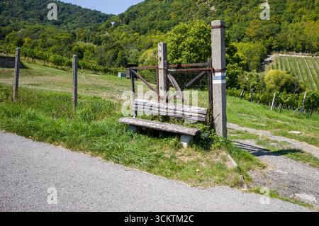 Un banc rustique se trouve près d'une porte marquant une entrée de sentier. Les randonneurs utilisent cet endroit pour se reposer avant de s'aventurer dans les collines couvertes de vignobles. Le sentier bleu Banque D'Images