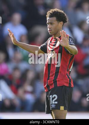 Bournemouth, Royaume-Uni. 13 septembre 2025. Bournemouth, Angleterre, 13 septembre 2025 : Tyler Adams de Bournemouth lors du match de premier League entre Bournemouth et Brighton au Vitality Stadium de Bournemouth, en Angleterre. Crédit : SPP Sport Press photo. /Alamy Live News Banque D'Images