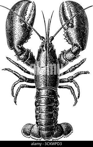 Design de vue de dessus de gravure de homard vintage pour décor nautique. Illustration de Vecteur