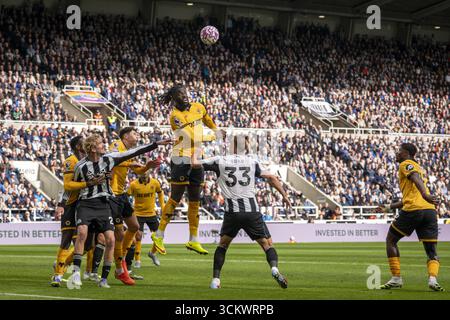 Newcastle upon Tyne, Royaume-Uni. 13 septembre 2025. NEWCASTLE UPON TYNE, ANGLETERRE - 13 SEPTEMBRE : > lors d'un match de premier League 2025/26 entre Newcastle United et Wolverhampton Wanderers à St James Park le 13 septembre 2025 à Newcastle upon Tyne, Angleterre. Crédit : SPP Sport Press photo. /Alamy Live News Banque D'Images