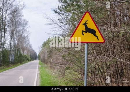 Panneau d'avertissement de Deer Crossing sur une route dans la région de Masovia en Pologne Banque D'Images