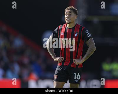 Bournemouth, Royaume-Uni. 13 septembre 2025. Bournemouth, Angleterre, 13 septembre 2025 : Marcus Tavernier de Bournemouth lors du match de premier League entre Bournemouth et Brighton au Vitality Stadium de Bournemouth, en Angleterre. Crédit : SPP Sport Press photo. /Alamy Live News Banque D'Images
