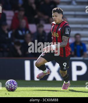 Bournemouth, Royaume-Uni. 13 septembre 2025. Bournemouth, Angleterre, 13 septembre 2025 : Evanilson de Bournemouth lors du match de premier League entre Bournemouth et Brighton au Vitality Stadium de Bournemouth, en Angleterre. Crédit : SPP Sport Press photo. /Alamy Live News Banque D'Images