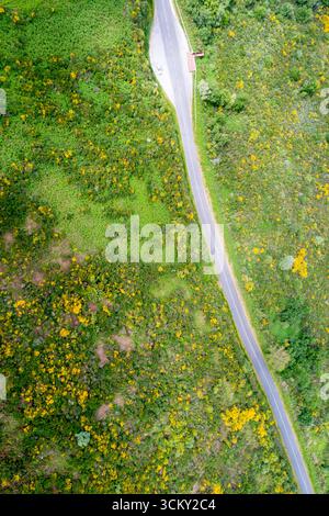 Photo prise par un drone d'une route de campagne entourée d'une gorse fleurie, Travel Journey Banque D'Images
