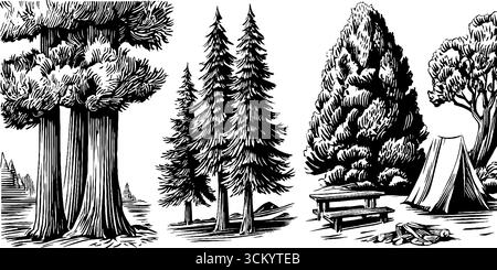 Scène de camping de forêt de pins avec tente et table de pique-nique dans le style vintage dessiné à la main. Illustration de Vecteur