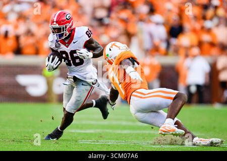 Knoxville, Tennessee, États-Unis. 13 septembre 2025. Le receveur large des Georgia Bulldogs Dillon Bell (86 ans) dirige la balle pendant le match de football universitaire entre les bénévoles de l'Université du Tennessee et les Georgia Bulldogs le 13 septembre 2025 au Neyland Stadium de Knoxville, Tennessee. Crédit : Brian Mack/ZUMA Wire/Alamy Live News Banque D'Images