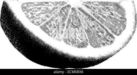 Collage orange coupé en demi-teinte vintage pour les conceptions artistiques. Illustration de Vecteur