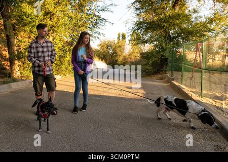 L'homme et sa fille marchent deux chiens en laisse le long d'une rue résidentielle tranquille bordée de verdure et d'escrime, comme un chien renifle le sol pendant que le o Banque D'Images