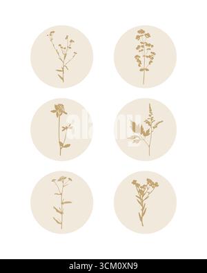 Badges floraux avec timbre doré d'imprimés végétaux à l'intérieur de cercles beiges ronds. Idéal pour les autocollants, la marque et l'emballage minimal. Illustration vectorielle Illustration de Vecteur