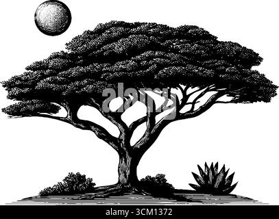 Arbre d'acacia gravé dans la savane avec scène de soleil - illustration vintage dessinée à la main pour la conception de la nature et de la faune. Illustration de Vecteur