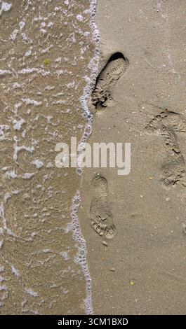 Gros plan d'empreintes humaines sur du sable humide avec de douces vagues océaniques approchant la plage Banque D'Images