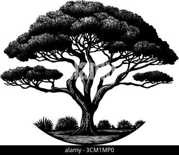 Illustration d'arbre d'acacia gravé dans la scène de savane africaine pour un design rétro. Illustration de Vecteur