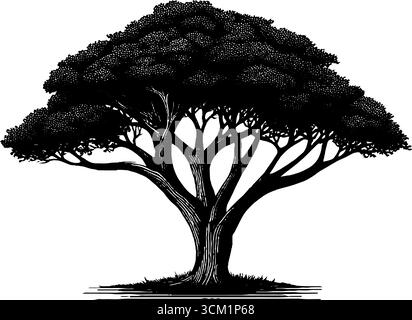 Illustration gravée de l'arbre d'acacia dans le paysage de savane. Illustration de Vecteur