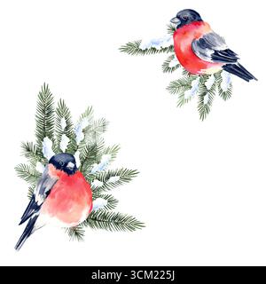 Aquarelle arbre de Noël dans la neige, baies rouges, deux oiseaux taureaux, cadre, modèle avec symbole d'événement, croquis dessiné à la main de branches de sapin vert, Banque D'Images