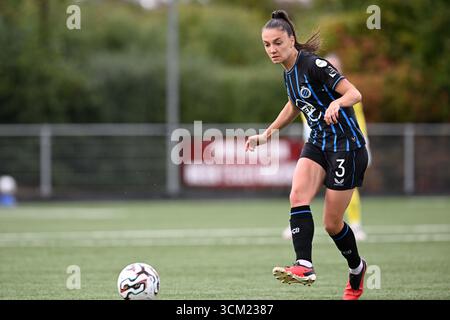 Aalter, Belgique. 13 septembre 2025. Romy camps (3) de Bruges photographiés lors d'un match de football féminin entre le Club Brugge Dames YLA et le SV Zulte Waregem le 2ème jour de la saison 2025-2026 de la Super League belge Lotto Womens, le samedi 13 septembre 2025 à Aalter, BELGIQUE . Crédit : Sportpix/Alamy Live News Banque D'Images