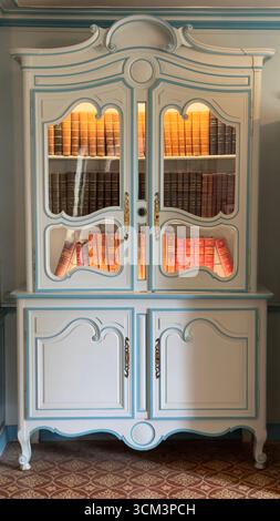 Une armoire en porcelaine ornée blanche et bleue avec des portes en verre affiche des rangées de vieux livres et a deux portes pleines au fond. Banque D'Images