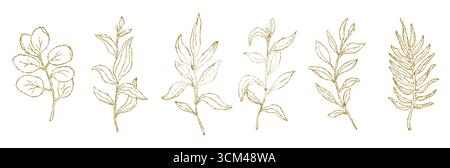 Feuilles de palmier et d'eucalyptus dessin au trait, paillettes dorées simples dessinées à la main illustration vectorielle, isolez sur fond blanc Illustration de Vecteur