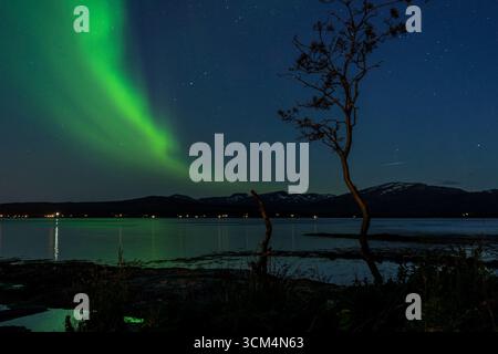 Aurores boréales à Tromsø, comté de Troms, Norvège Banque D'Images