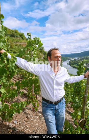 Le vigneron Markus Molitor dans un vignoble Banque D'Images