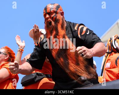 Cincinnati, Ohio, États-Unis. 14 septembre 2025. Fan des Cincinnati Bengals pendant la deuxième SEMAINE de la saison régulière de la NFL entre les Cincinnati Bengals et les Jacksonville Jaguars à Cincinnati, Ohio. Kevin Schultz/CSM/Alamy Live News Banque D'Images