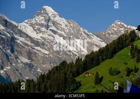 Cabanes alpines sur une pente raide, sommet enneigé du Wetterhorn en arrière-plan, Mürren, Lauterbrunnen, Suisse Banque D'Images