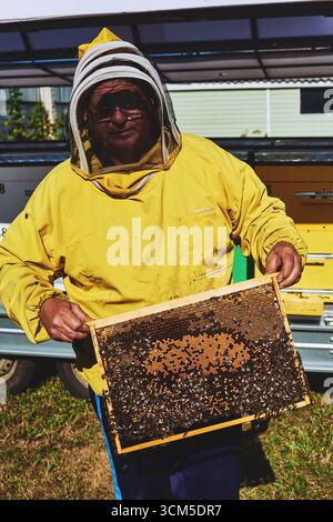 Homme caucasien d'âge moyen portant un costume de protection apicole tenant un cadre en nid d'abeilles recouvert d'abeilles debout à l'extérieur près des ruches pendant la journée ensoleillée Banque D'Images