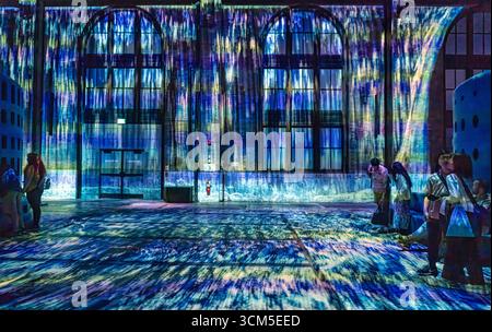 La centrale électrique de Niagara Falls lors du spectacle de lumières nocturnes, avec des projections LED colorées créant l'effet de l'eau en cascade qui coule à travers le buil historique Banque D'Images