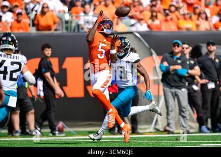 Cincinnati, Ohio, États-Unis. 14 septembre 2025. Tee Higgins (5), receveur des Cincinnati Bengals Wide, fait une capture contre les Jaguars de Jacksonville au Paycor Stadium le 14 septembre 2025 à CINCINNATI, OH crédit : Brian Mack/ZUMA Wire/Alamy Live News Banque D'Images