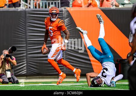 Cincinnati, Ohio, États-Unis. 14 septembre 2025. Tee Higgins (5), receveur des Cincinnati Bengals Wide, fait une capture contre les Jaguars de Jacksonville au Paycor Stadium le 14 septembre 2025 à CINCINNATI, OH crédit : Brian Mack/ZUMA Wire/Alamy Live News Banque D'Images