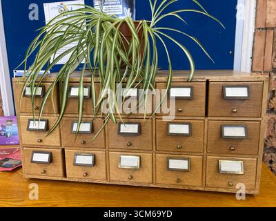 Armoire de catalogue de cartes dans la bibliothèque centrale de Leeds Banque D'Images