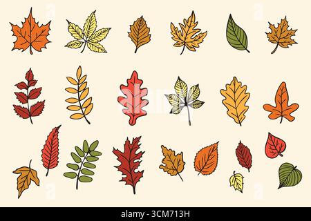 Collection de diverses feuilles d'automne, esquissées dans des tons chauds de saison sur un fond clair, idéal pour des fins décoratives et des thèmes d'automne Illustration de Vecteur