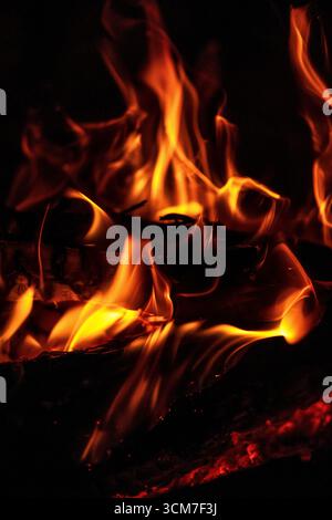 Flammes s'élevant de bois brûlant en gros plan Banque D'Images