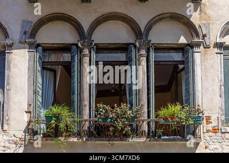 Vieilles fenêtres vénitiennes avec des plantes de balcon. Trois fenêtres cintrées dans un bâtiment vénitien historique avec volets ouverts, plantes en pot et classique Banque D'Images
