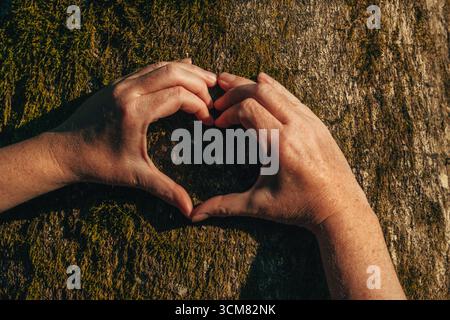 Gros plan de mains adultes formant une forme de coeur contre un tronc d'arbre couvert de mousse, symbolisant l'amour pour la nature, l'environnement et la durabilité. Selecti Banque D'Images