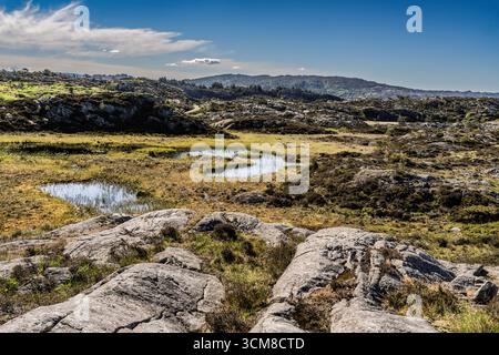 Paysage serein avec un lac tranquille entouré d'arbres, une petite île, une verdure vibrante et un ciel bleu clair mis en évidence par des nuages. A Perfec Banque D'Images