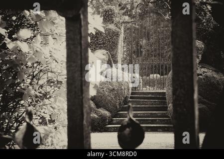 Portes en fer forgé menant à un jardin secret dans les jardins du prieuré de Wenlock : Much Wenlock Shropshire Angleterre Banque D'Images