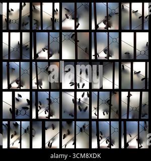 Ombres de chaussures sur un sol en verre, photographiées d'en bas Banque D'Images