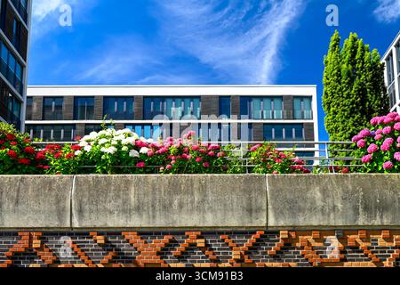 Bâtiment résidentiel moderne à Dalmannkai dans la Hafencity de Hambourg, Allemagne Banque D'Images