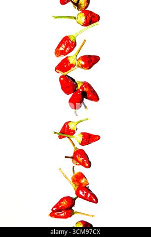 Petits piments piments piments rouges secs épicés isolés sur fond blanc, gros plan Banque D'Images