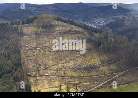 Photo aérienne, dommages forestiers dans la zone forestière de Holzhausen, Bad Laasphe, Siegerland, Rhénanie du Nord-Westphalie, Allemagne, mortalité des arbres, DE, Europe, aeria Banque D'Images