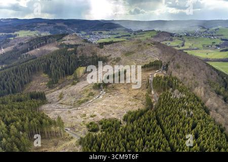 Photo aérienne, dommages forestiers dans la zone forestière de Holzhausen, Bad Laasphe, Siegerland, Rhénanie du Nord-Westphalie, Allemagne, mortalité des arbres, DE, Europe, aeria Banque D'Images