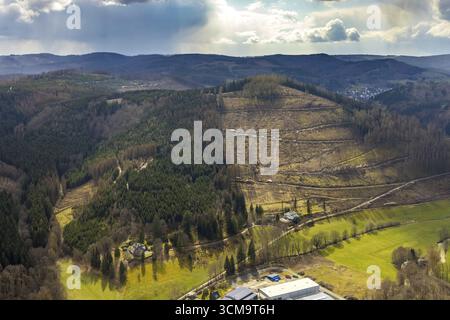 Photo aérienne, dommages forestiers dans la zone forestière de Holzhausen, Bad Laasphe, Siegerland, Rhénanie du Nord-Westphalie, Allemagne, mortalité des arbres, DE, Europe, aeria Banque D'Images