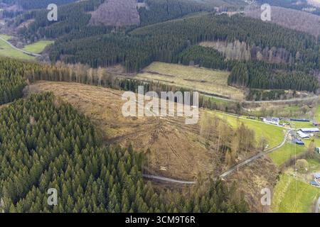 Photo aérienne, dommages forestiers dans la zone forestière de Holzhausen, Bad Laasphe, Siegerland, Rhénanie du Nord-Westphalie, Allemagne, mortalité des arbres, DE, Europe, aeria Banque D'Images