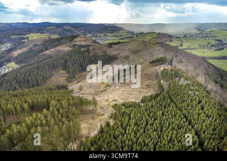 Photo aérienne, dommages forestiers dans la zone forestière de Holzhausen, Bad Laasphe, Siegerland, Rhénanie du Nord-Westphalie, Allemagne, mortalité des arbres, DE, Europe, aeria Banque D'Images