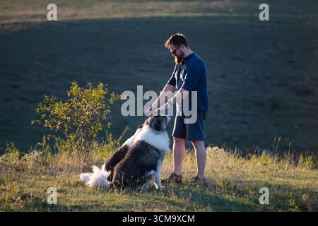 Homme donnant à son chien une récompense de gâterie après un entraînement d'obéissance. Banque D'Images