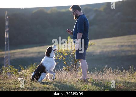 Homme donnant à son chien une récompense de gâterie après un entraînement d'obéissance. Banque D'Images