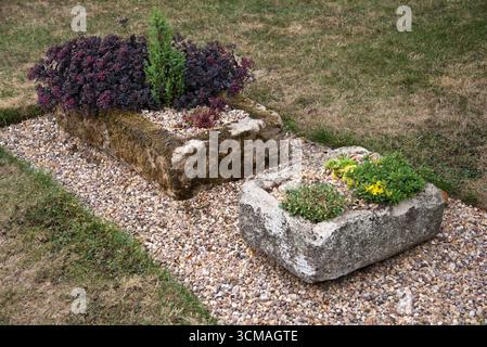 Grandes cuvettes en pierre recouvertes de mousse plantées de plantes alpines. Banque D'Images