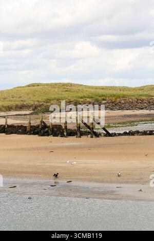 Vue sur l'estuaire en direction de Warkworth Beach depuis Amble, Northumberland Banque D'Images