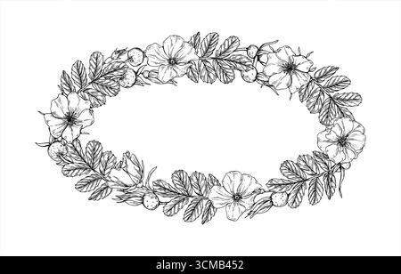Baies de rose musquée à fleurs monochromes et feuilles vecteur cadre ovale avec espace de copie pour le texte. Dessin sauvage de gravure de plantes saines. Cadre floral Illustration de Vecteur
